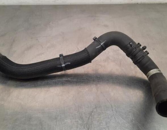 Radiator Hose NISSAN QASHQAI III (J12)