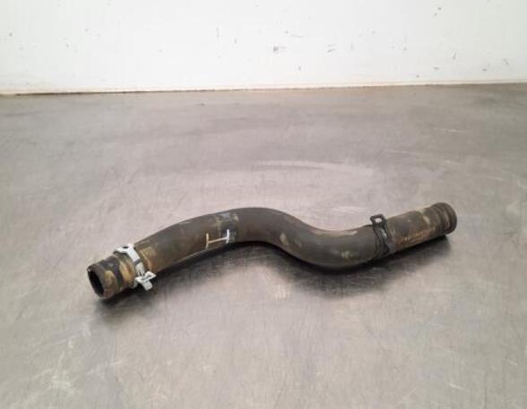 Radiator Hose FORD KA+ (UK, FK)