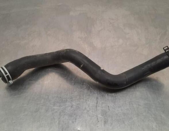 Radiator Hose FORD TRANSIT CONNECT V408 Box Body/MPV