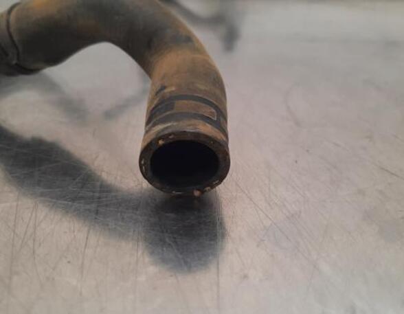 Radiator Hose CUPRA BORN (K11)