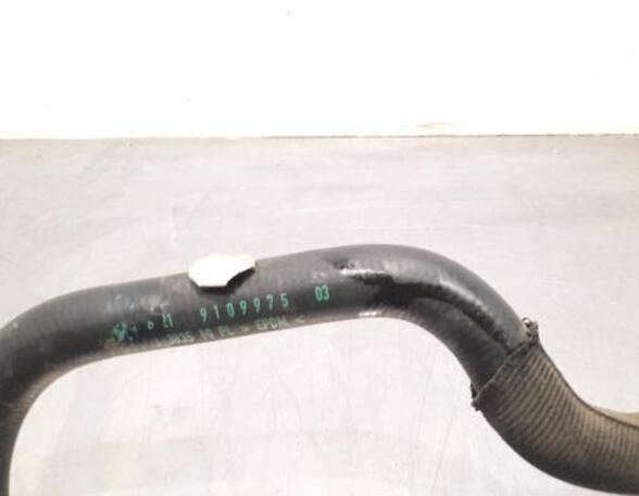 Radiator Hose BMW 5 Touring (G31)