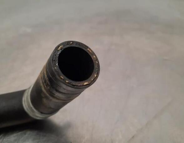 Radiator Hose RENAULT CLIO V (B7_)