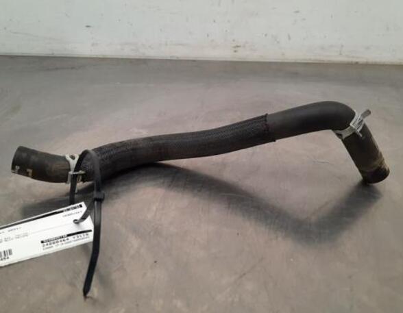 Radiator Hose RENAULT CLIO V (B7_)