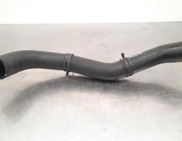 Radiator Hose MAZDA MX-5 RF Targa (ND), MAZDA MX-5 IV (ND)