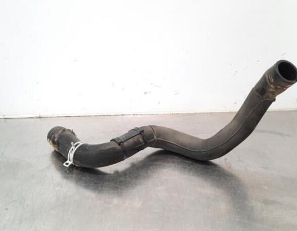 Radiator Hose RENAULT CLIO V (B7_)