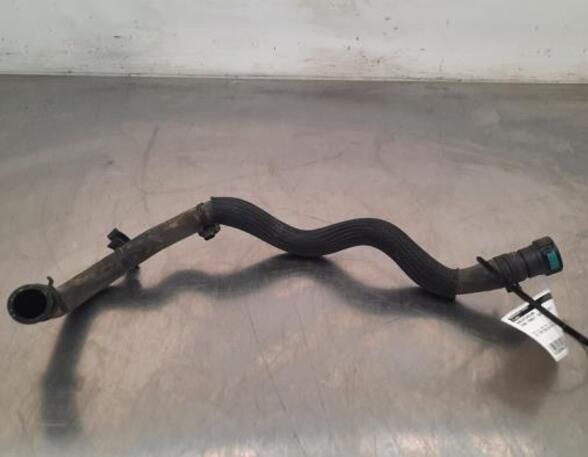 Radiator Hose FORD TRANSIT CUSTOM V362 Van (FY, FZ)