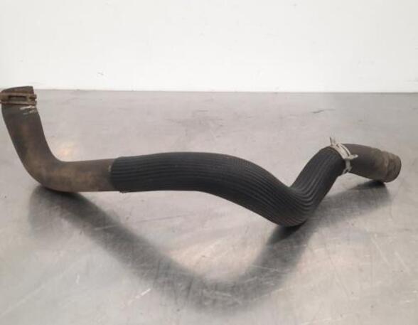 Radiator Hose CITROËN C3 III (SX)