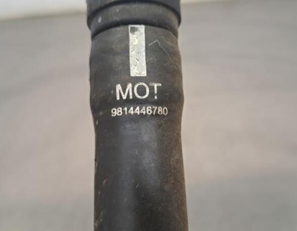 Radiator Hose CITROËN C3 III (SX)