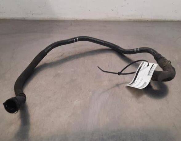 Radiator Hose RENAULT CLIO V (B7_)