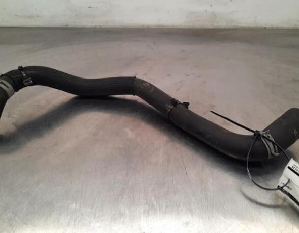 Radiator Hose NISSAN QASHQAI III (J12)