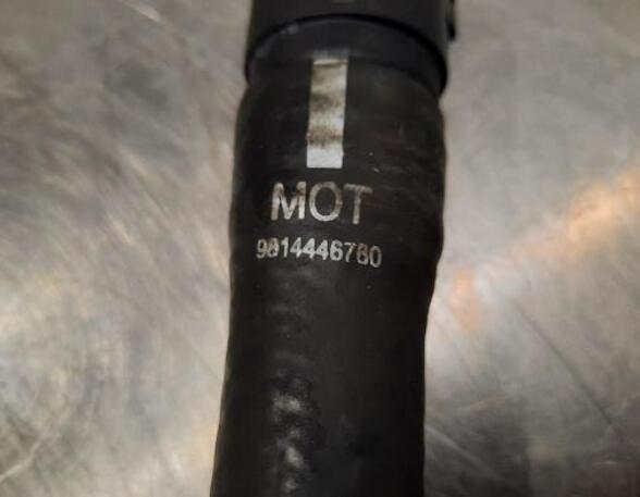 Radiator Hose CITROËN C3 III (SX)