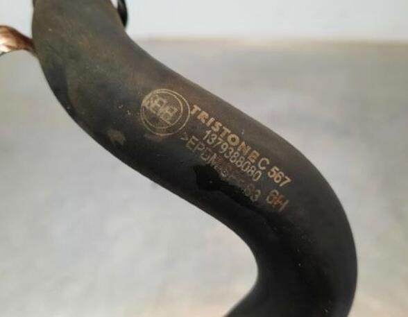 Radiator Hose FIAT DUCATO Van (250_, 290_), FIAT DUCATO Bus (250_, 290_)