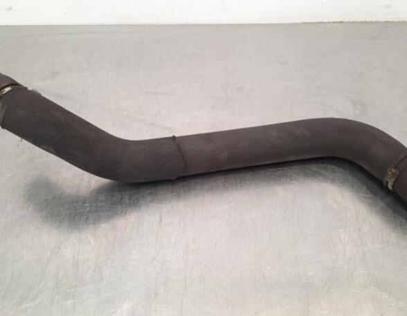 Radiator Hose OPEL MOVANO B Bus (X62), OPEL MOVANO B Van (X62), OPEL MOVANO B Platform/Chassis (X62)