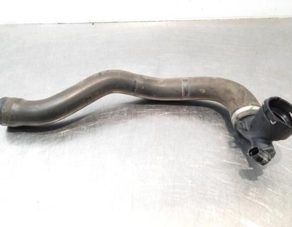 Radiator Hose JAGUAR F-PACE (X761)