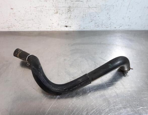 Radiator Hose CITROËN C3 III (SX)