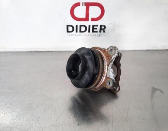 Water Pump OPEL VIVARO B Bus (X82), OPEL VIVARO B Van (X82)