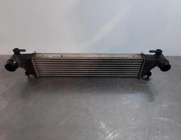 Intercooler FIAT TIPO Estate (356_), FIAT TIPO Hatchback (356_)