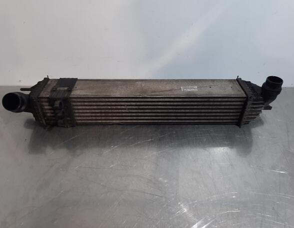 Intercooler RENAULT LAGUNA III Grandtour (KT0/1)