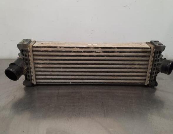 Intercooler FORD TRANSIT V363 Bus (FAD, FBD)