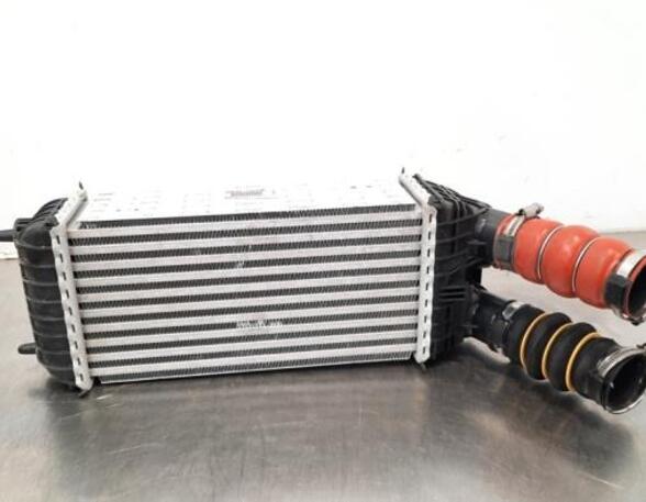 Intercooler CITROËN C3 III (SX), PEUGEOT 2008 I (CU_), CITROËN C4 CACTUS, PEUGEOT 208 II (UB_, UP_, UW_, UJ_)