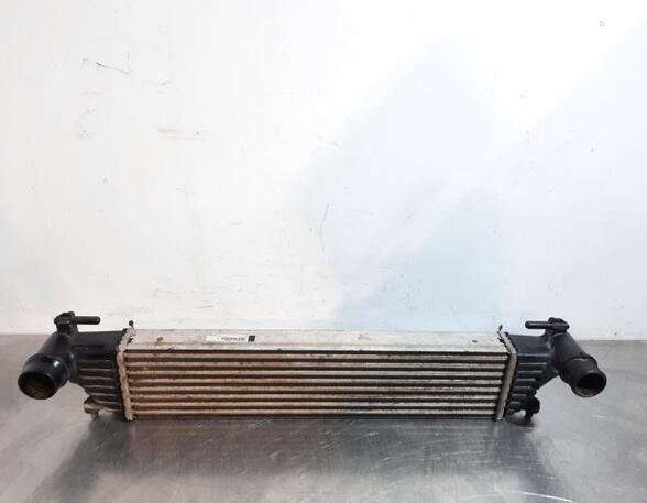 Intercooler FIAT TIPO Estate (356_), FIAT TIPO Hatchback (356_)