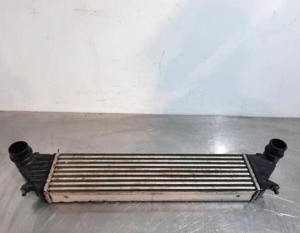 Intercooler FIAT TIPO Estate (356_), FIAT TIPO Hatchback (356_)