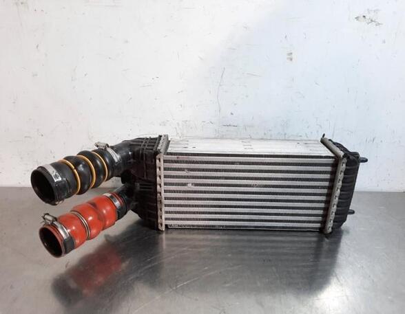 Intercooler CITROËN C3 II (SC_)