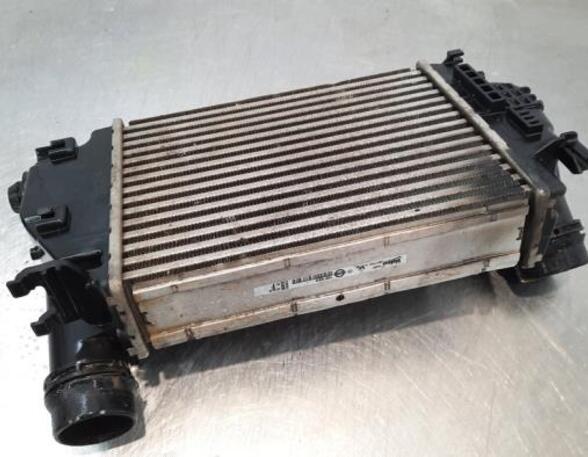 Intercooler NISSAN QASHQAI II SUV (J11, J11_), RENAULT KADJAR (HA_, HL_)