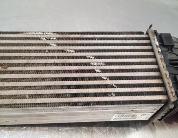 Intercooler CITROËN C3 II (SC_)