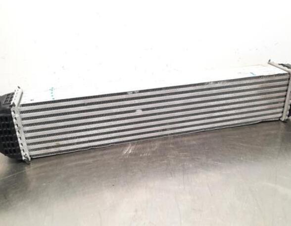 Intercooler MG MG HS