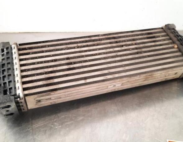 Intercooler FORD TRANSIT V363 Platform/Chassis (FED, FFD)