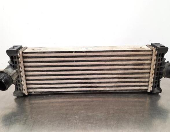 Intercooler FORD TRANSIT V363 Platform/Chassis (FED, FFD)