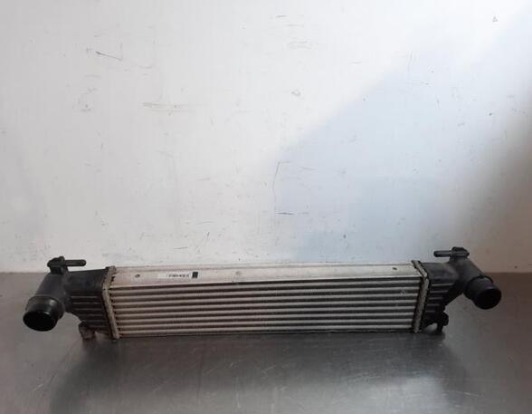 Intercooler FIAT TIPO Estate (356_), FIAT TIPO Hatchback (356_)