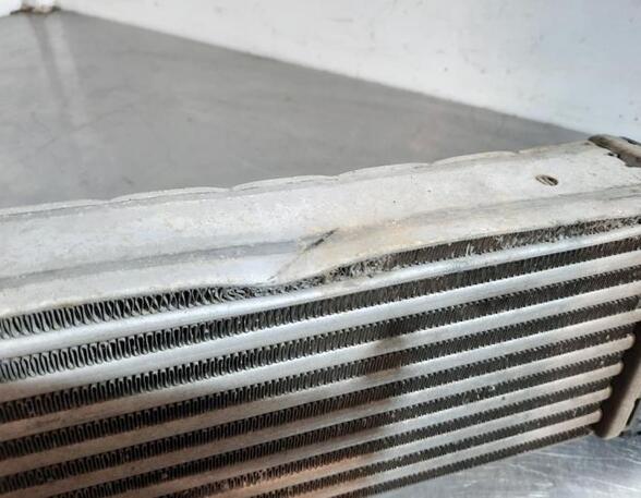 Intercooler FIAT TIPO Estate (356_), FIAT TIPO Hatchback (356_)