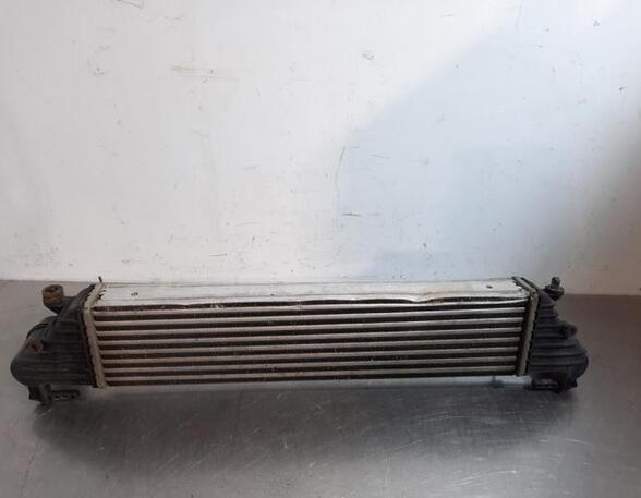 Intercooler FIAT TIPO Estate (356_), FIAT TIPO Hatchback (356_)