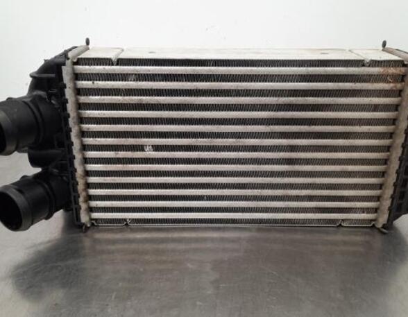 Intercooler PEUGEOT 2008 II (UD_, US_, UY_, UK_)