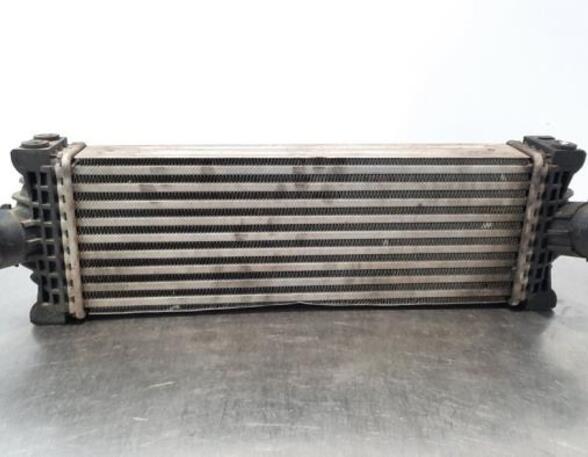 Intercooler FORD TRANSIT V363 Platform/Chassis (FED, FFD)