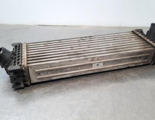 Intercooler FORD TRANSIT V363 Platform/Chassis (FED, FFD)