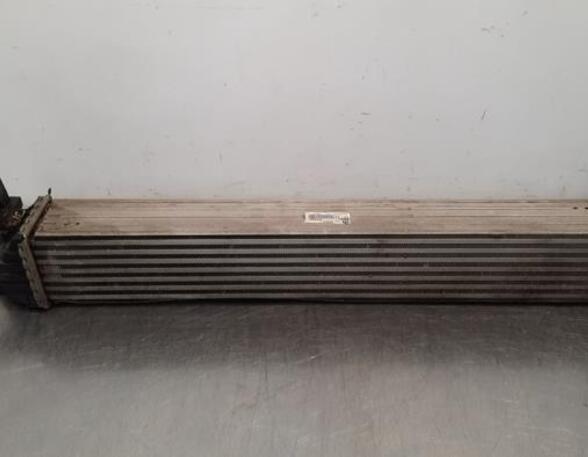 Intercooler CITROËN JUMPER Platform/Chassis