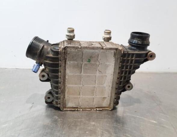 Ladeluftkühler Land Rover Range Rover Evoque I L538 GJ329L440AB P17624032