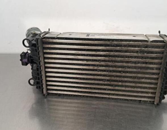 Intercooler CITROËN C4 III (BA_, BB_, BC_)