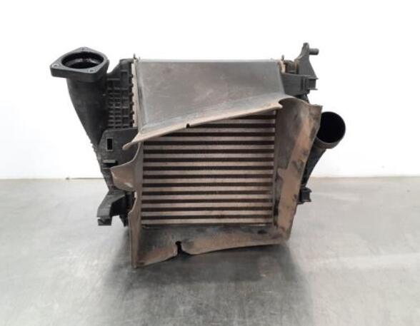 Intercooler AUDI Q8 (4MN)