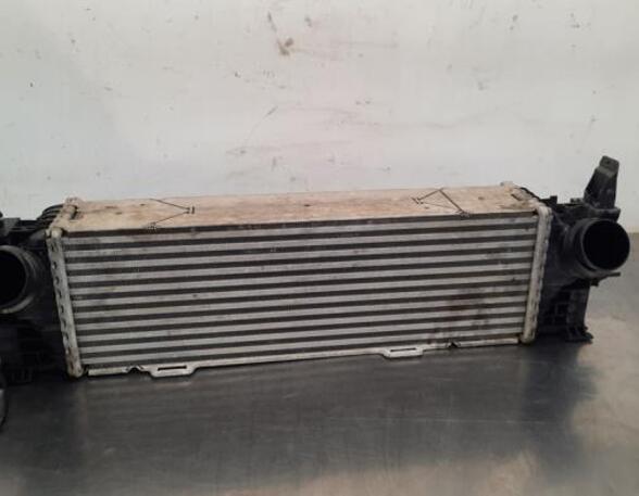 Intercooler BMW X4 (G02, F98)