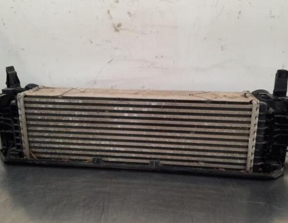 Intercooler BMW X4 (G02, F98)