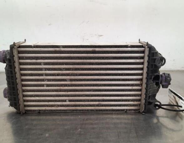 Intercooler CITROËN C4 III (BA_, BB_, BC_)