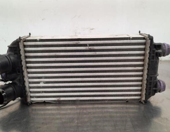 Intercooler CITROËN C4 III (BA_, BB_, BC_)