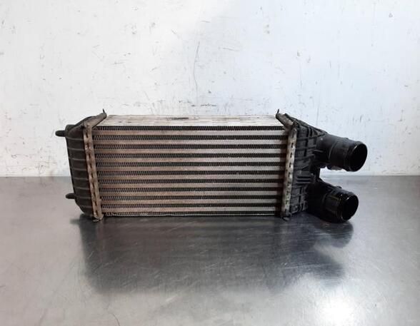 Intercooler PEUGEOT 2008 I (CU_), CITROËN C3 III (SX), CITROËN C3 II (SC_), CITROËN C3 PICASSO (SH_)