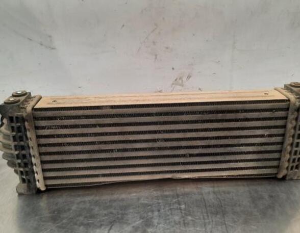 Intercooler FORD TRANSIT V363 Bus (FAD, FBD), FORD TRANSIT V363 Van (FCD, FDD)