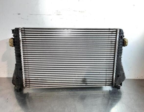 Intercooler VW TIGUAN (5N_)