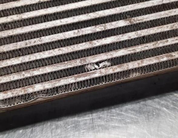 Intercooler OPEL MOVANO B Platform/Chassis (X62), OPEL MOVANO B Bus (X62)